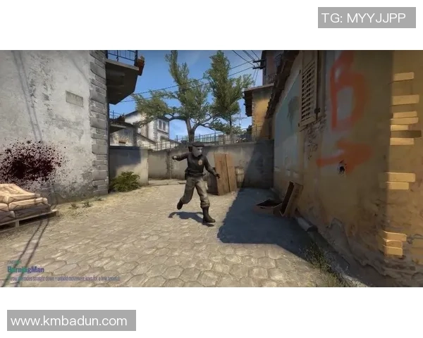 CSGO战术分析：深入探讨LNG战队的游戏意识与团队协作